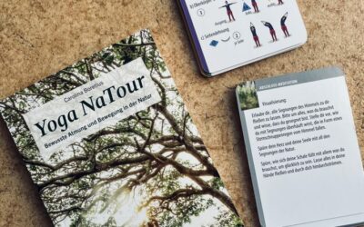 Onlinemagazin Make Yourself Move testet Yoga NaTour