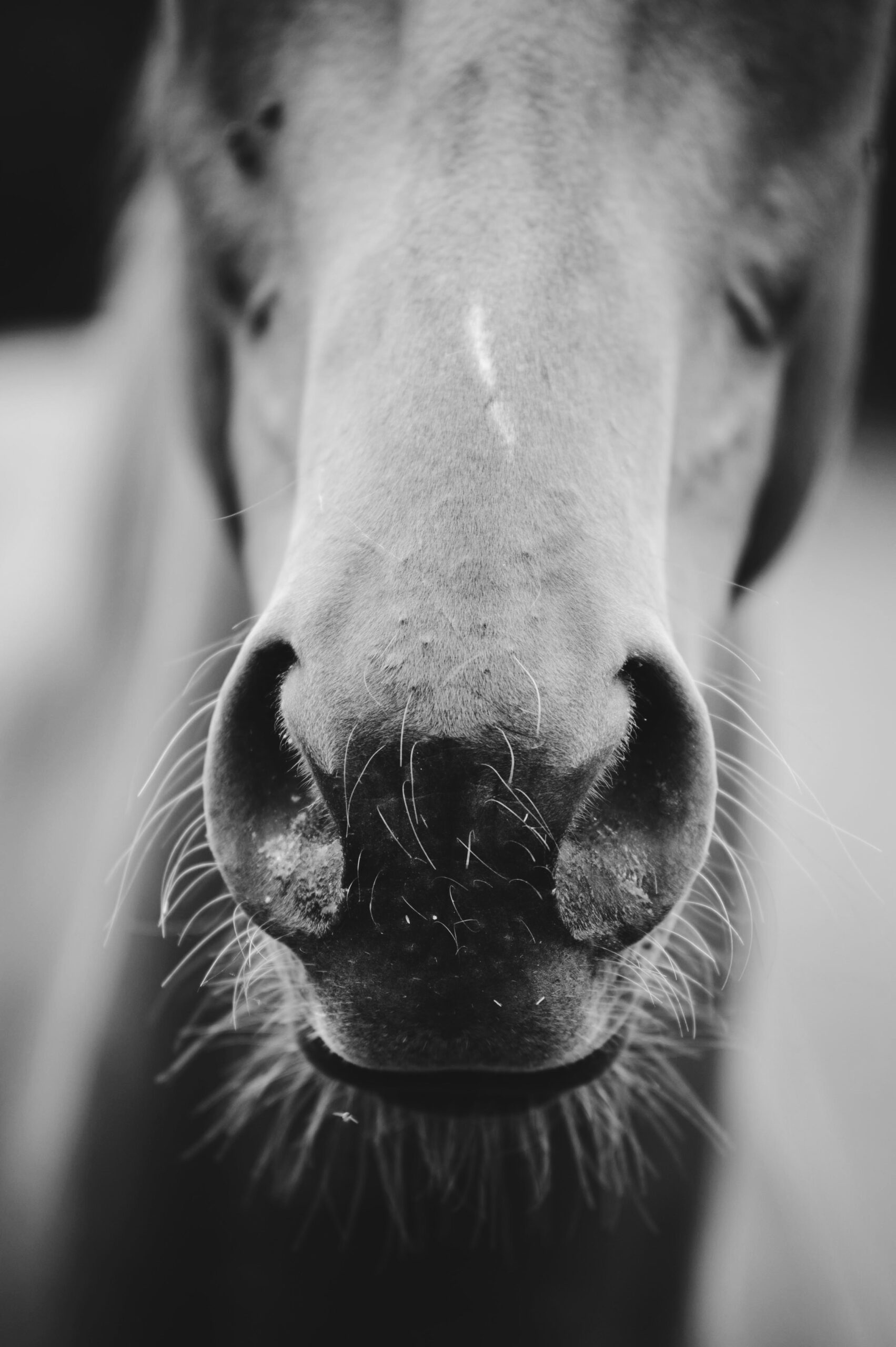 Photo by Vincent Botta on Unsplash