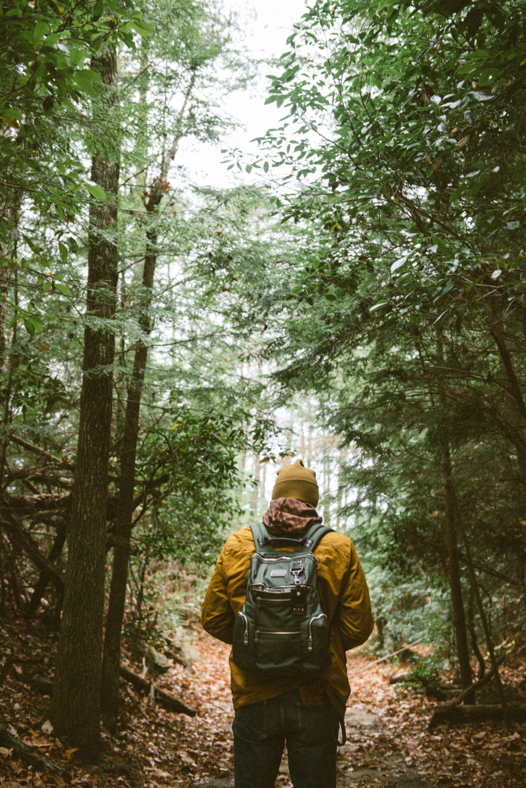 Foto von Chad Madden auf Unsplash (2)