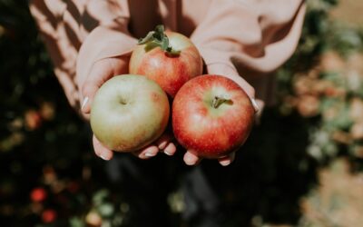 Yoga im Jahreskreis | Mabon Herbstfeier